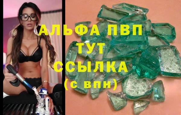 метадон Богданович