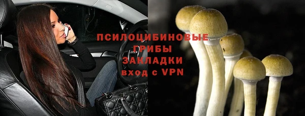 метадон Богданович