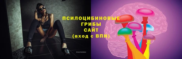 метадон Богданович