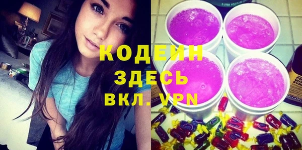 индика Богородицк