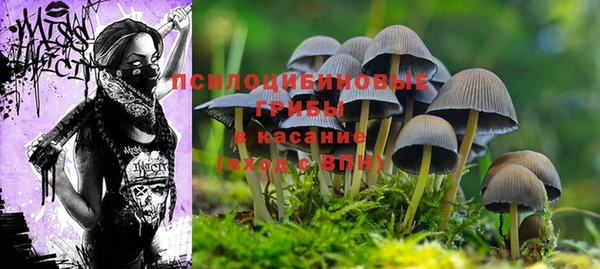 крисы Нефтегорск