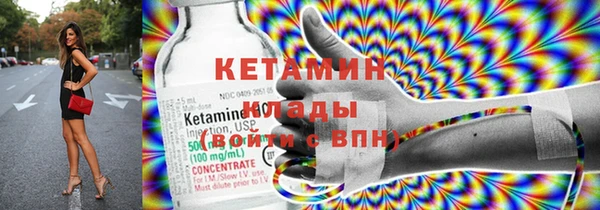 индика Богородицк