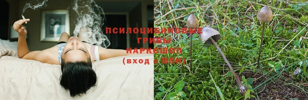 метадон Богданович