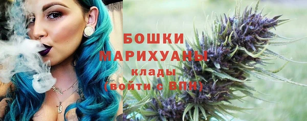 индика Богородицк
