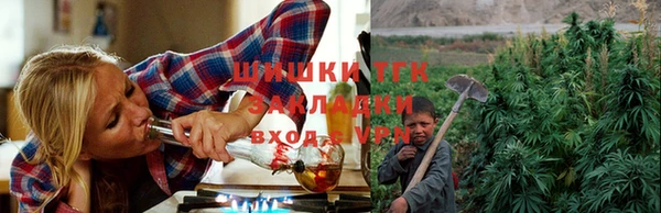индика Богородицк