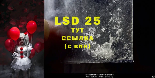 PSILOCYBIN Богородск