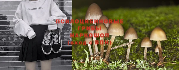 PSILOCYBIN Богородск