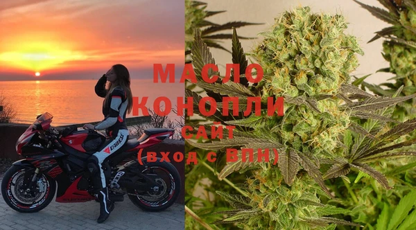 индика Богородицк