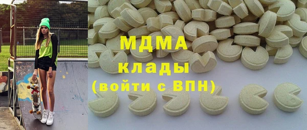 индика Богородицк