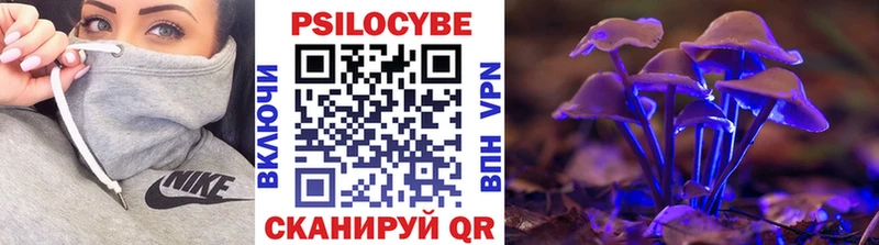 Галлюциногенные грибы Cubensis  shop какой сайт  Большой Камень 